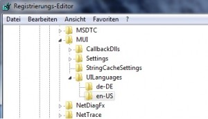 regedit 300x172 Windows 7 Home und Professional / Language Pack installieren
